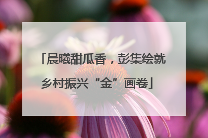 晨曦甜瓜香，彭集绘就乡村振兴“金”画卷