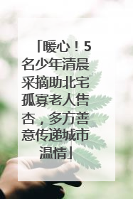 暖心！5名少年清晨采摘助北宅孤寡老人售杏，多方善意传递城市温情