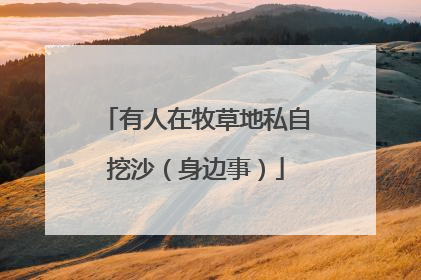 有人在牧草地私自挖沙（身边事）