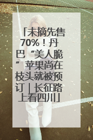 未摘先售70%！丹巴“美人脆”苹果尚在枝头就被预订｜长征路上看四川