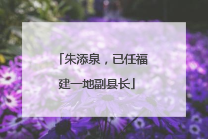 朱添泉，已任福建一地副县长