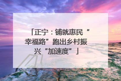 正宁：铺就惠民“幸福路”跑出乡村振兴“加速度”