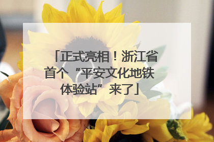 正式亮相！浙江省首个“平安文化地铁体验站”来了