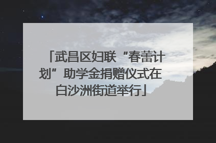 武昌区妇联“春蕾计划”助学金捐赠仪式在白沙洲街道举行