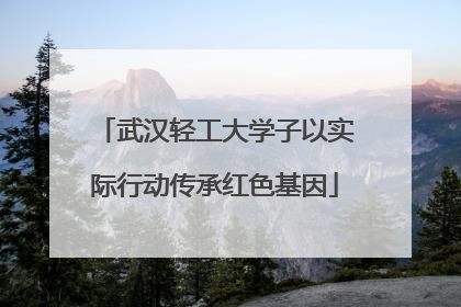 武汉轻工大学子以实际行动传承红色基因