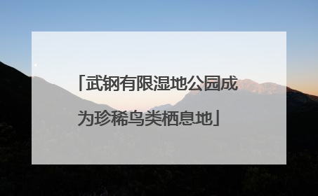 武钢有限湿地公园成为珍稀鸟类栖息地