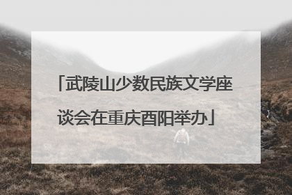 武陵山少数民族文学座谈会在重庆酉阳举办