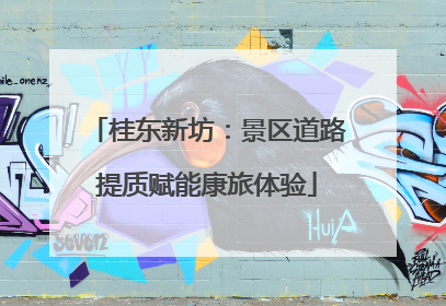 桂东新坊：景区道路提质赋能康旅体验