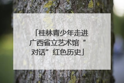 桂林青少年走进广西省立艺术馆“对话”红色历史