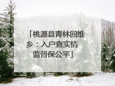 桃源县青林回维乡：入户查实情 监督保公平