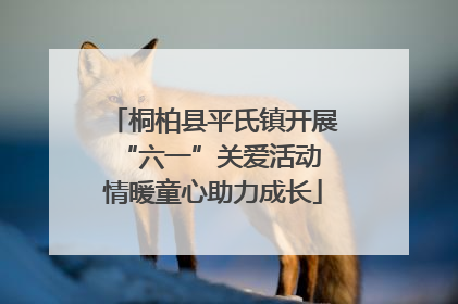 桐柏县平氏镇开展“六一”关爱活动 情暖童心助力成长