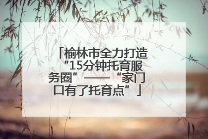 榆林市全力打造“15分钟托育服务圈”——“家门口有了托育点”