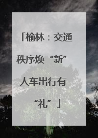 榆林：交通秩序焕“新” 人车出行有“礼”