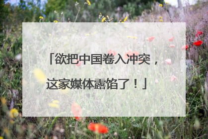 欲把中国卷入冲突，这家媒体露馅了！