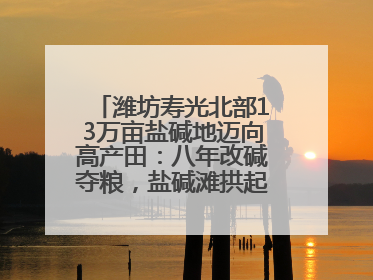 潍坊寿光北部13万亩盐碱地迈向高产田：八年改碱夺粮，盐碱滩拱起“金粮仓”