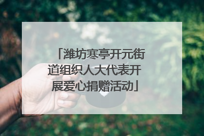 潍坊寒亭开元街道组织人大代表开展爱心捐赠活动