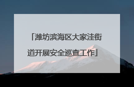 潍坊滨海区大家洼街道开展安全巡查工作