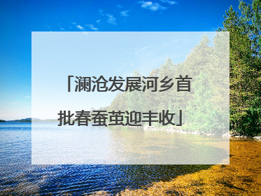 澜沧发展河乡首批春蚕茧迎丰收