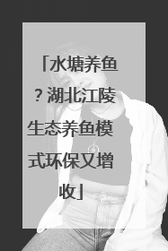 水塘养鱼？湖北江陵生态养鱼模式环保又增收
