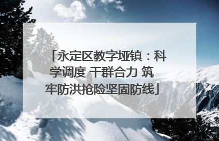 永定区教字垭镇：科学调度 干群合力 筑牢防洪抢险坚固防线