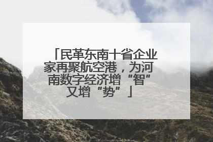 民革东南十省企业家再聚航空港，为河南数字经济增“智”又增“势”