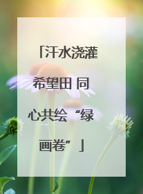 汗水浇灌希望田 同心共绘“绿画卷”