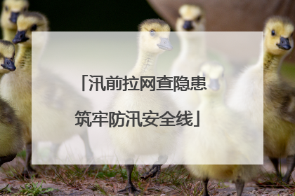 汛前拉网查隐患 筑牢防汛安全线
