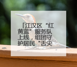 江汉区“红黄蓝”服务队上线，组团守护居民“舌尖上的安全”