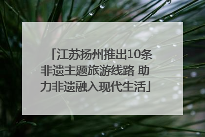 江苏扬州推出10条非遗主题旅游线路 助力非遗融入现代生活