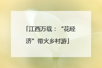 江西万载：“花经济”带火乡村游