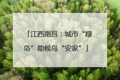 江西南昌：城市“绿岛”助候鸟“安家”