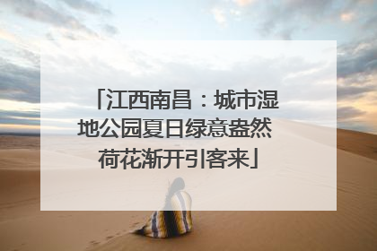 江西南昌：城市湿地公园夏日绿意盎然 荷花渐开引客来