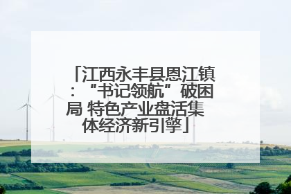 江西永丰县恩江镇：“书记领航”破困局 特色产业盘活集体经济新引擎