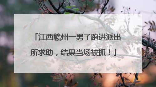 江西赣州一男子跑进派出所求助，结果当场被抓！