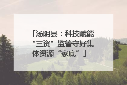 汤阴县：科技赋能“三资”监管守好集体资源“家底”