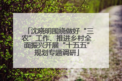 沈晓明围绕做好“三农”工作、推进乡村全面振兴开展“十五五”规划专题调研