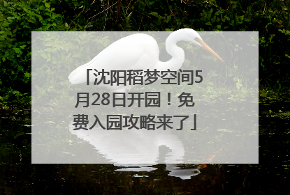 沈阳稻梦空间5月28日开园！免费入园攻略来了