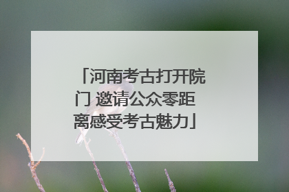 河南考古打开院门 邀请公众零距离感受考古魅力