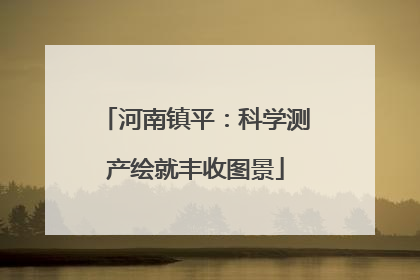 河南镇平：科学测产绘就丰收图景