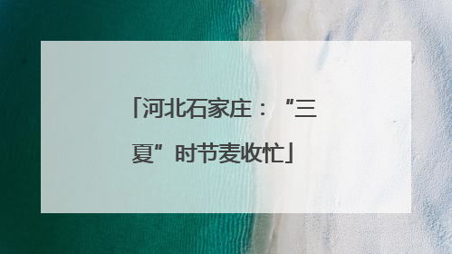 河北石家庄：“三夏”时节麦收忙