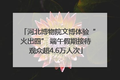 河北博物院文博体验“火出圈” 端午假期接待观众超4.6万人次
