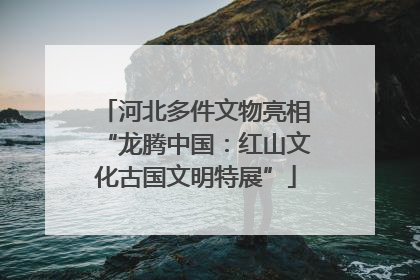 河北多件文物亮相“龙腾中国：红山文化古国文明特展”