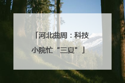 河北曲周：科技小院忙“三夏”