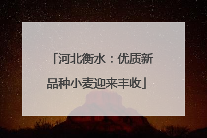 河北衡水：优质新品种小麦迎来丰收