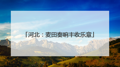 河北：麦田奏响丰收乐章