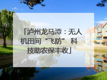 泸州龙马潭：无人机田间“飞防” 科技助农保丰收