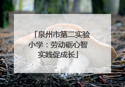 泉州市第二实验小学：劳动砺心智实践促成长