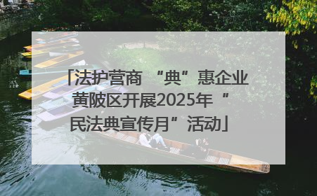 法护营商 “典”惠企业 黄陂区开展2025年“民法典宣传月”活动