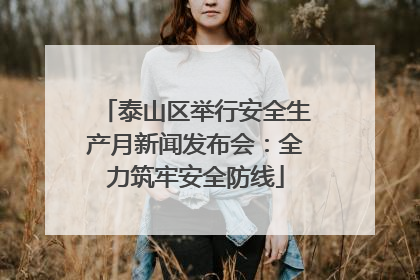 泰山区举行安全生产月新闻发布会：全力筑牢安全防线