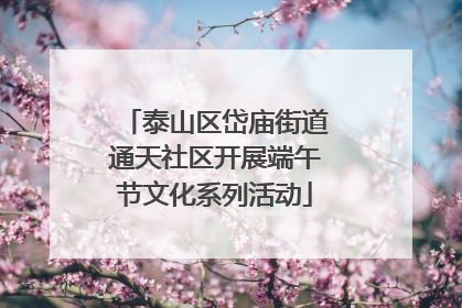 泰山区岱庙街道通天社区开展端午节文化系列活动